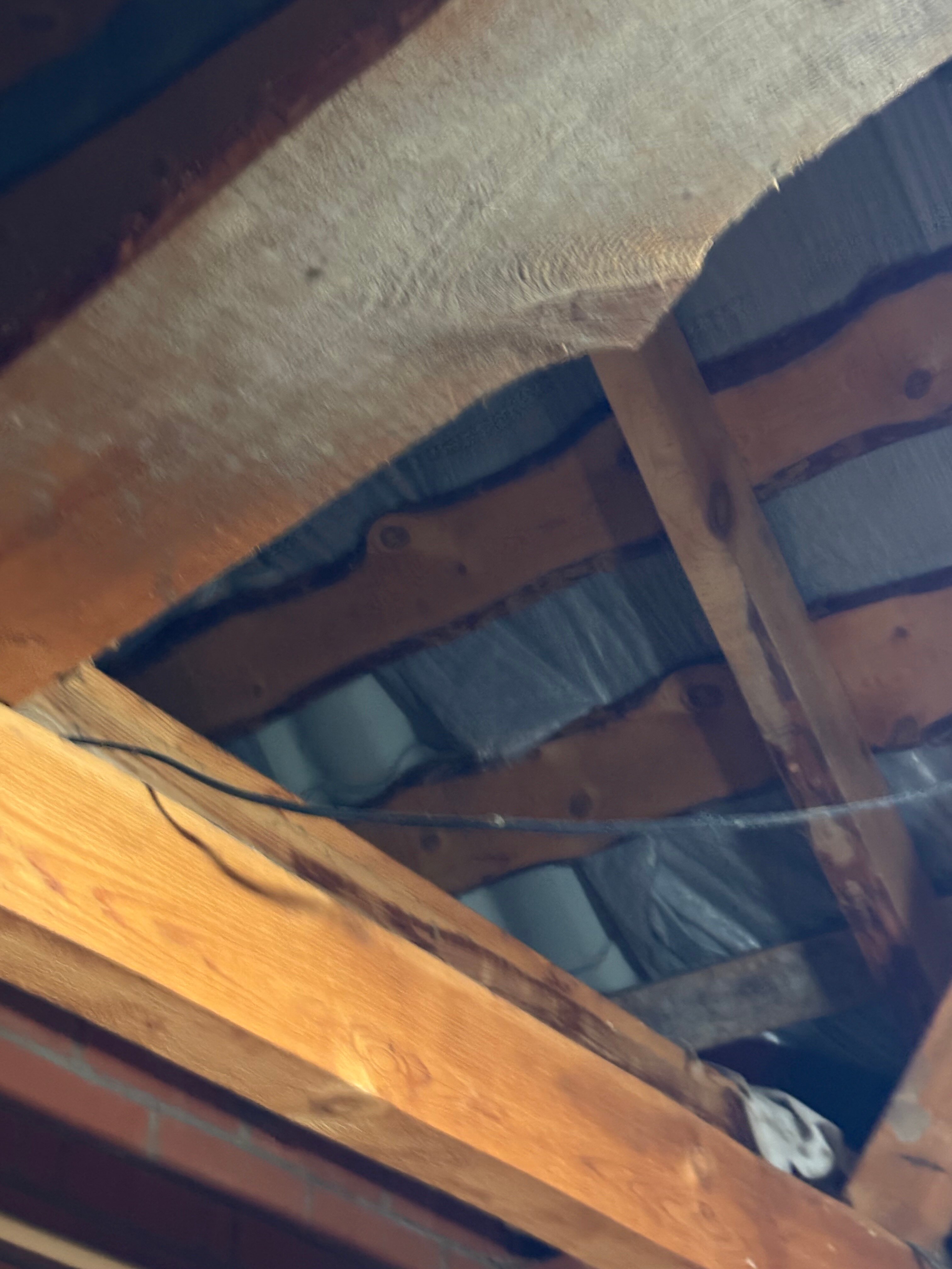 Фото Путник