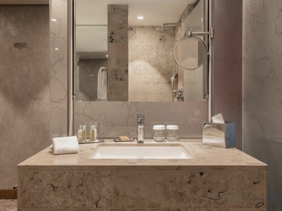 Фото Hilton The Hague