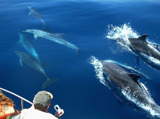 Фото Kaani Village & SPA