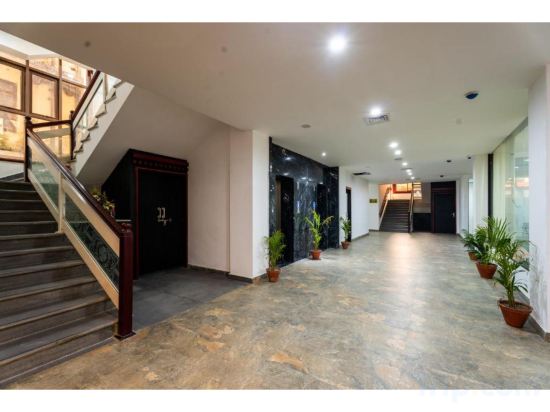 Фото Hotel Lo Mustang