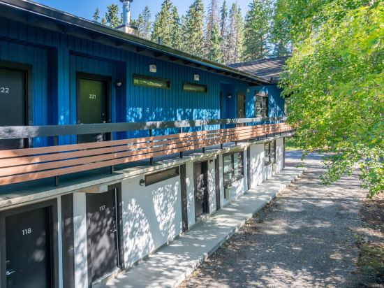 Фото The Dorothy Motel