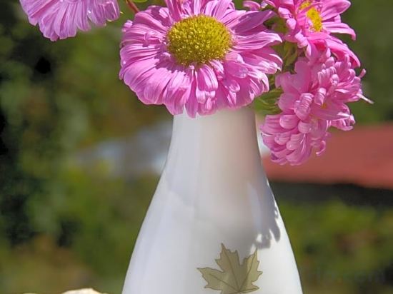 Фото Emotions Country Resort