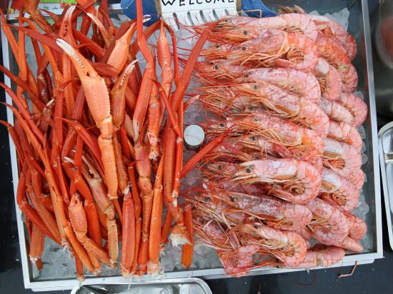 Фото 121595243337