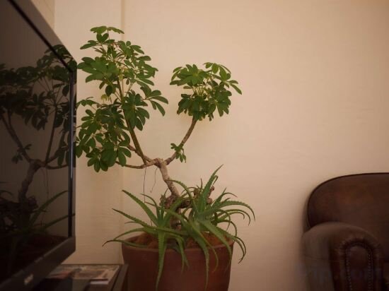 Hotel Orrs, Okinawa Prefecture, photo