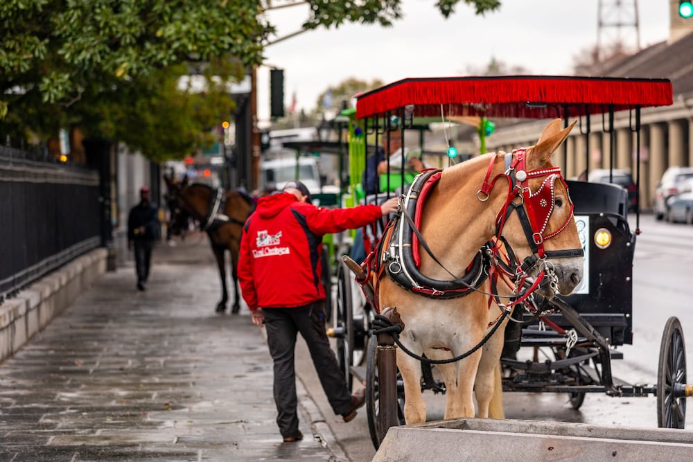 Фото Hotel de la Monnaie