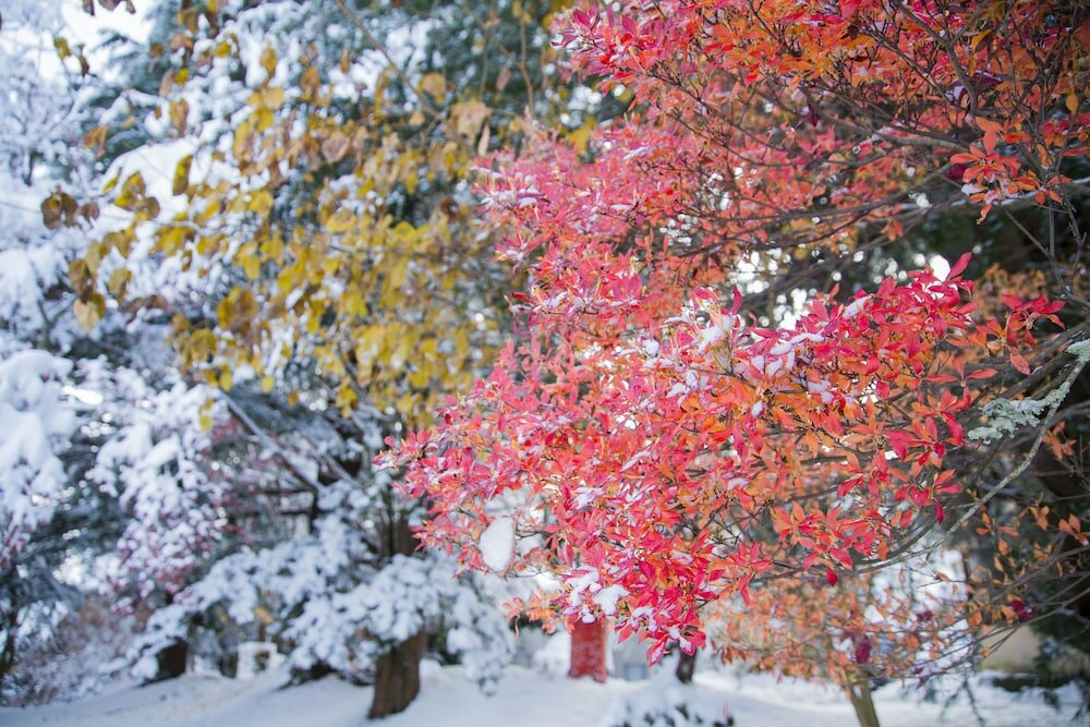 Фото Fuji View Hotel