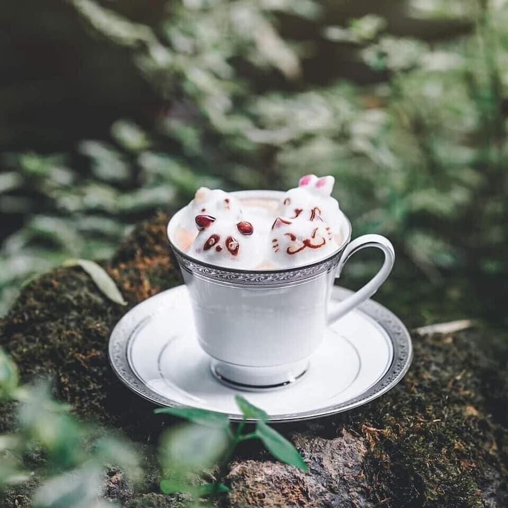 Фото Bangkok Oasis Hotel