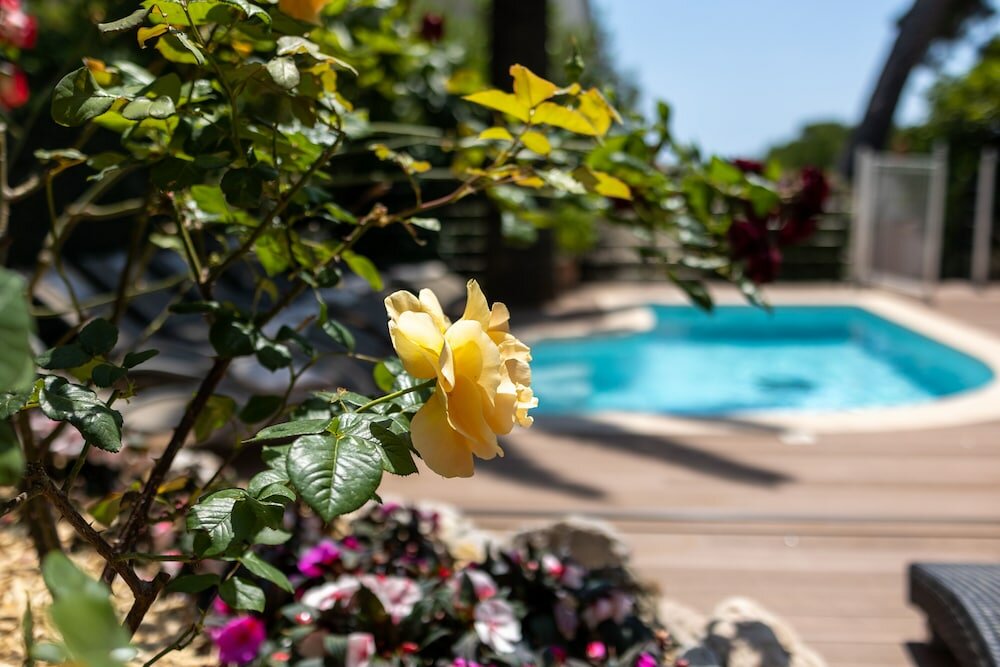 Фото Hôtel Petit Palais