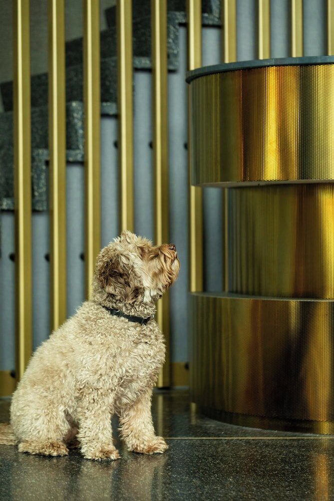 Фото The Den, ‘s-Hertogenbosch, a Tribute Portfolio Hotel