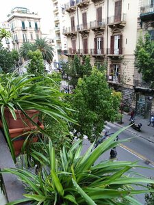 Гостиница Medusa B&b