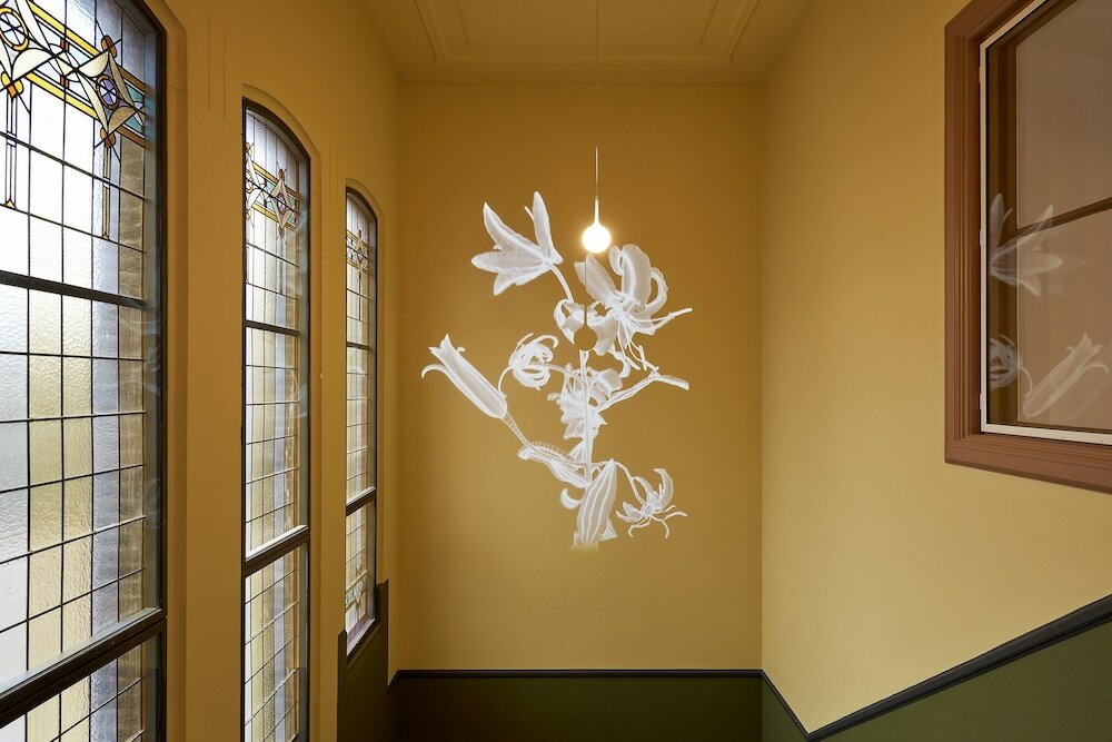 Фото Hotel Marienhage