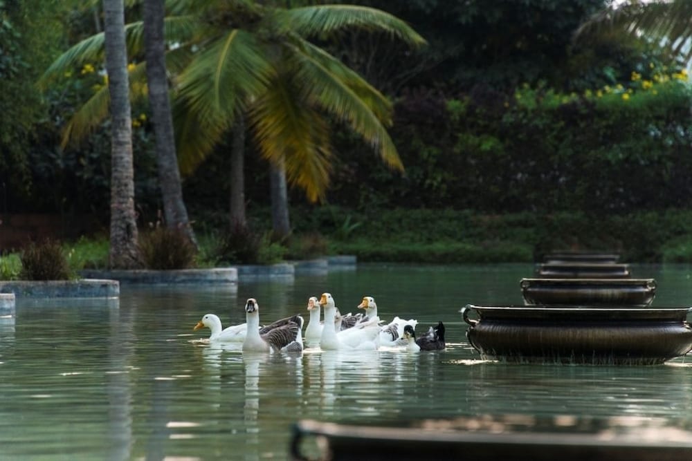 Фото The Windflower Resorts and SPA