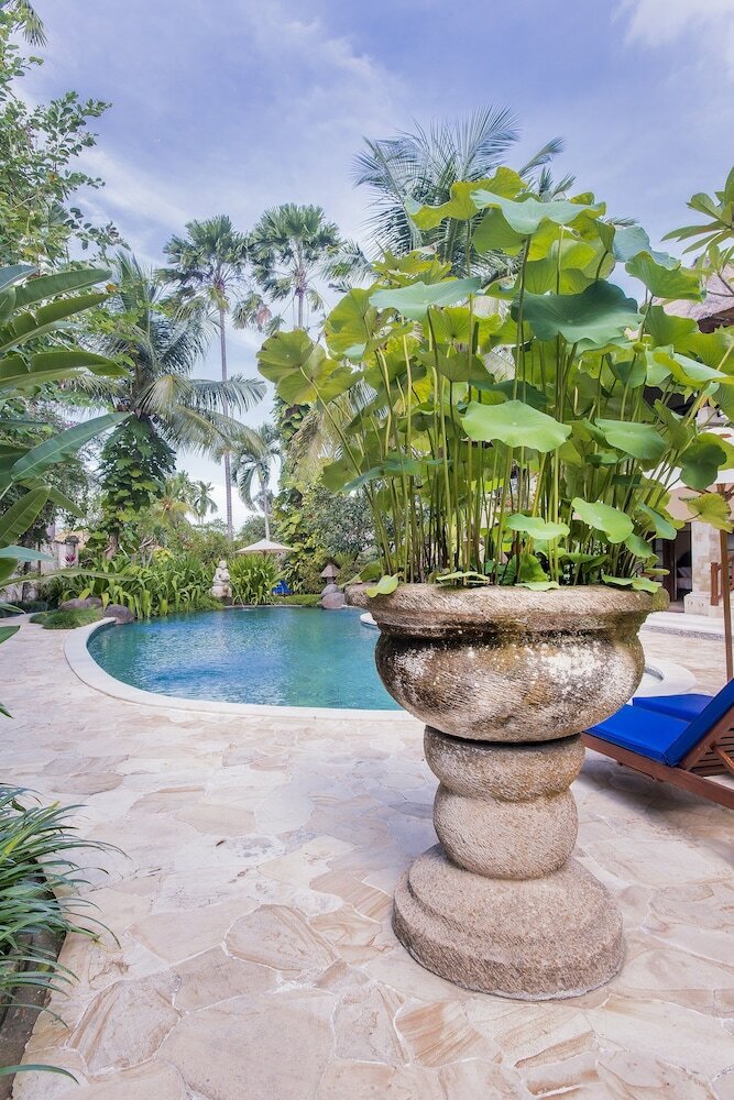 Фото 52955708160