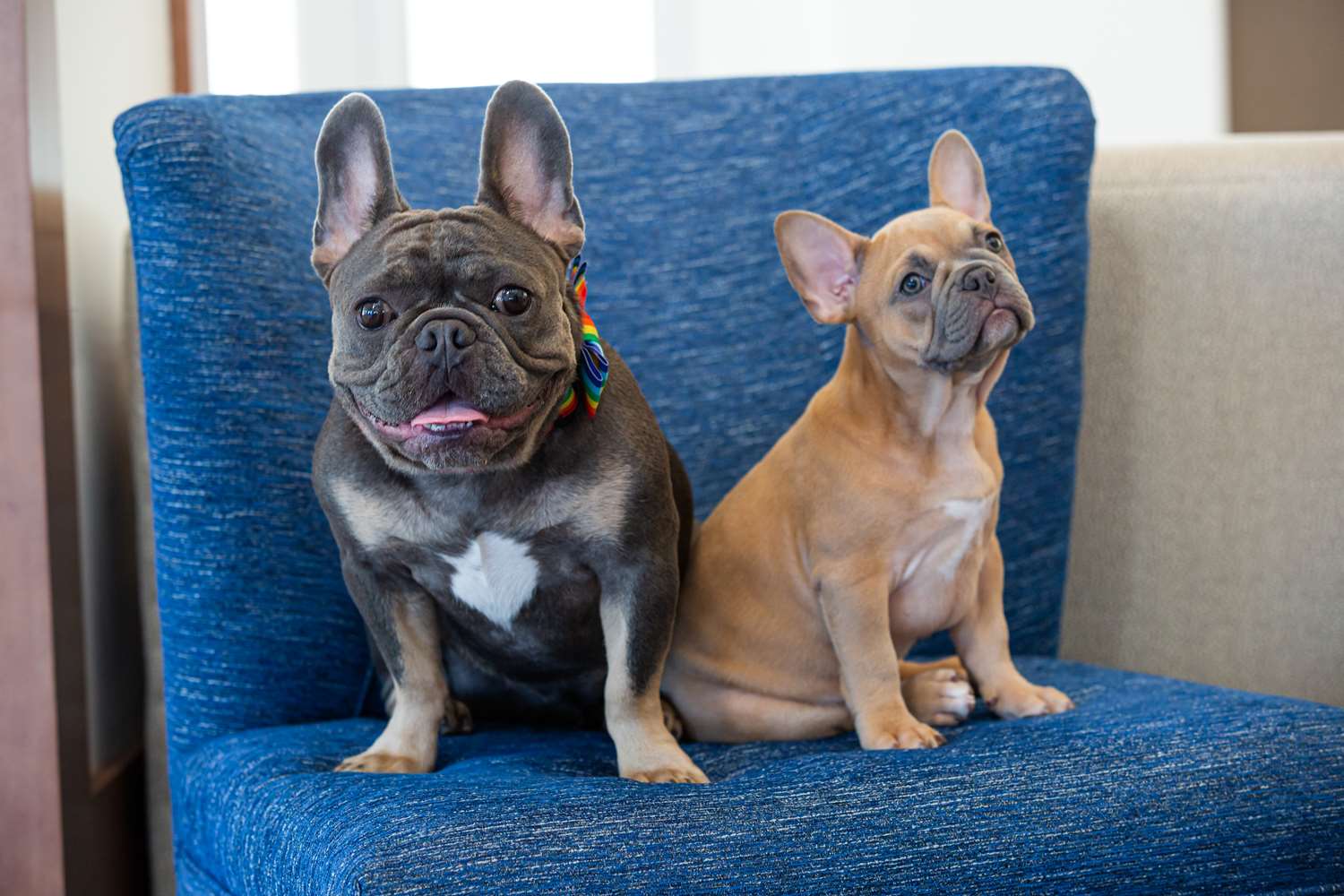 Фото Hilton Garden Inn Salt Lake City Airport