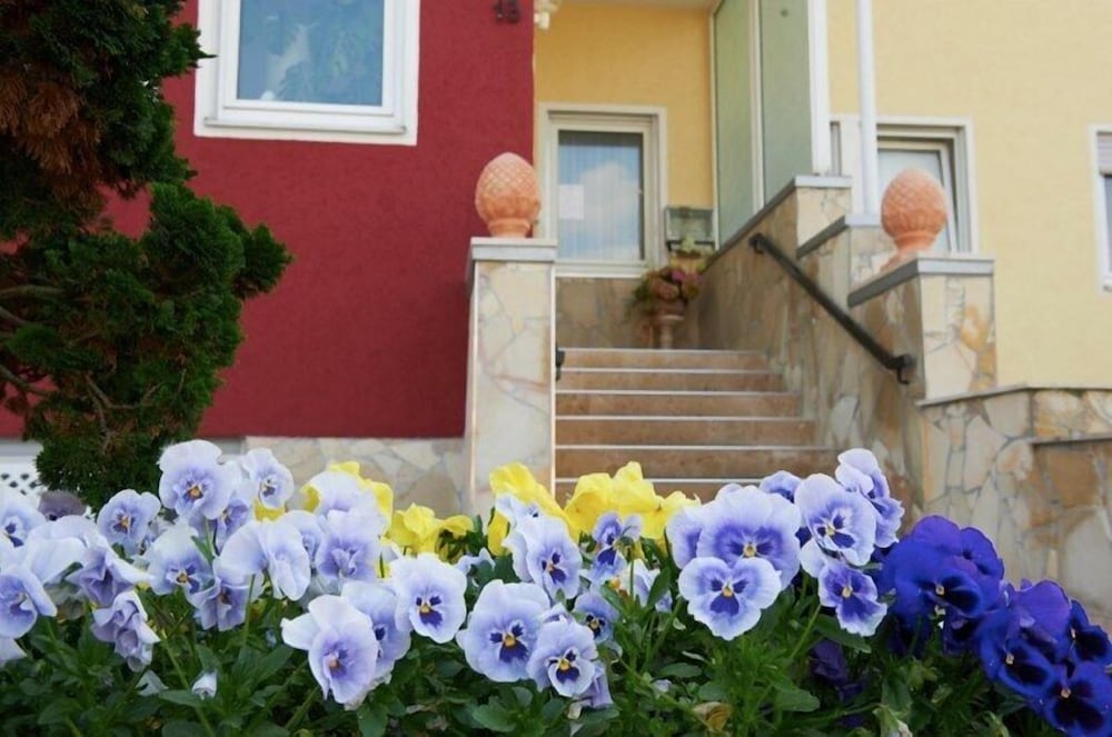 Фото Hotel Wendelstein