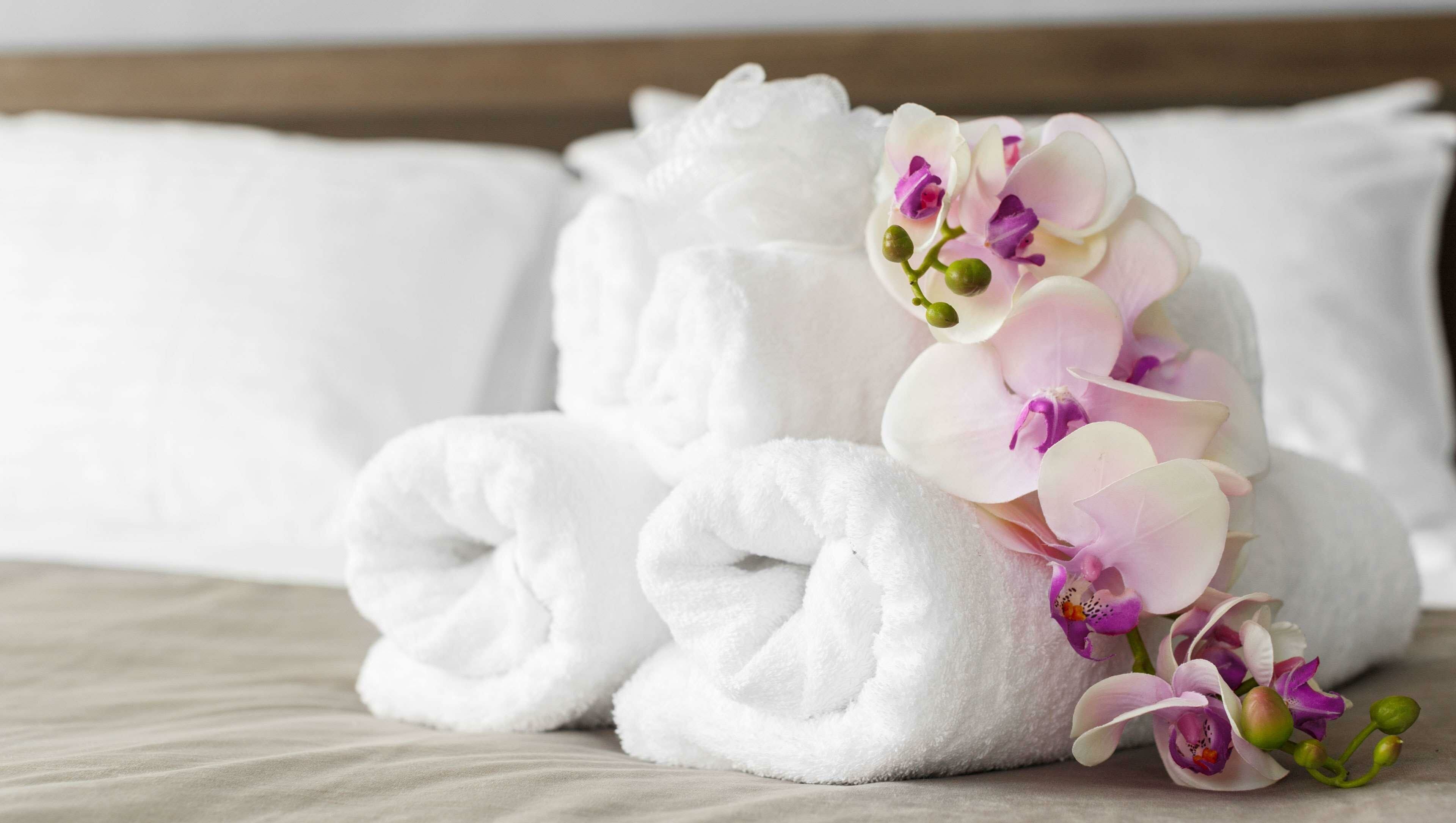 Фото Kings Inn Cleveland