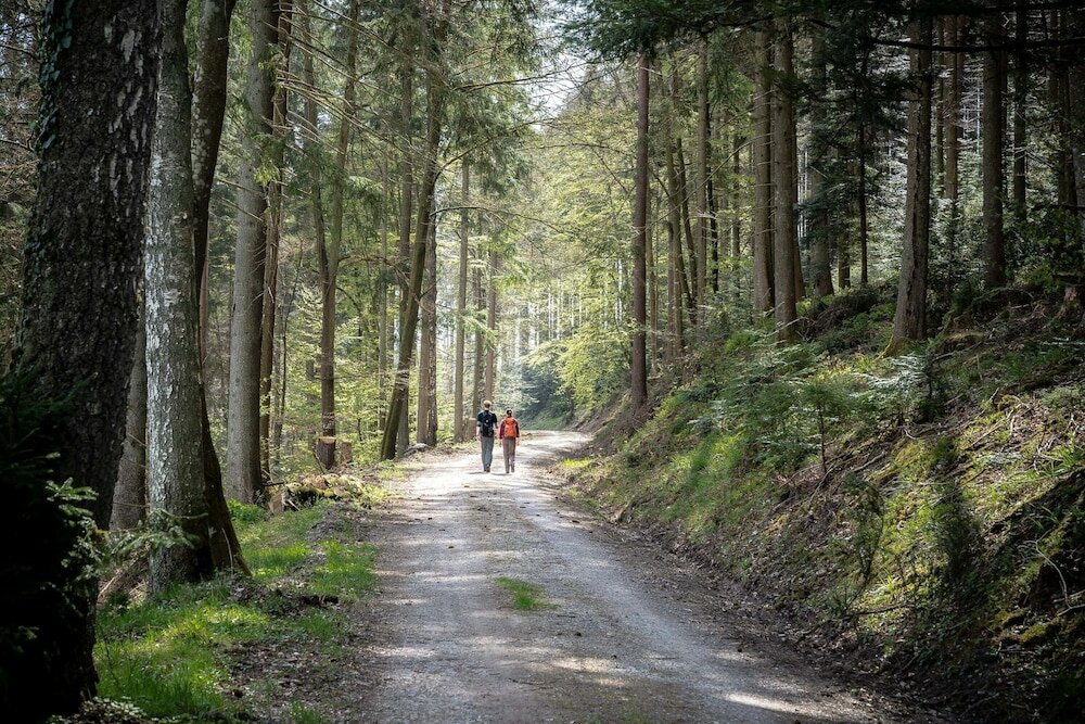 Фото Hotel Rössle Berneck