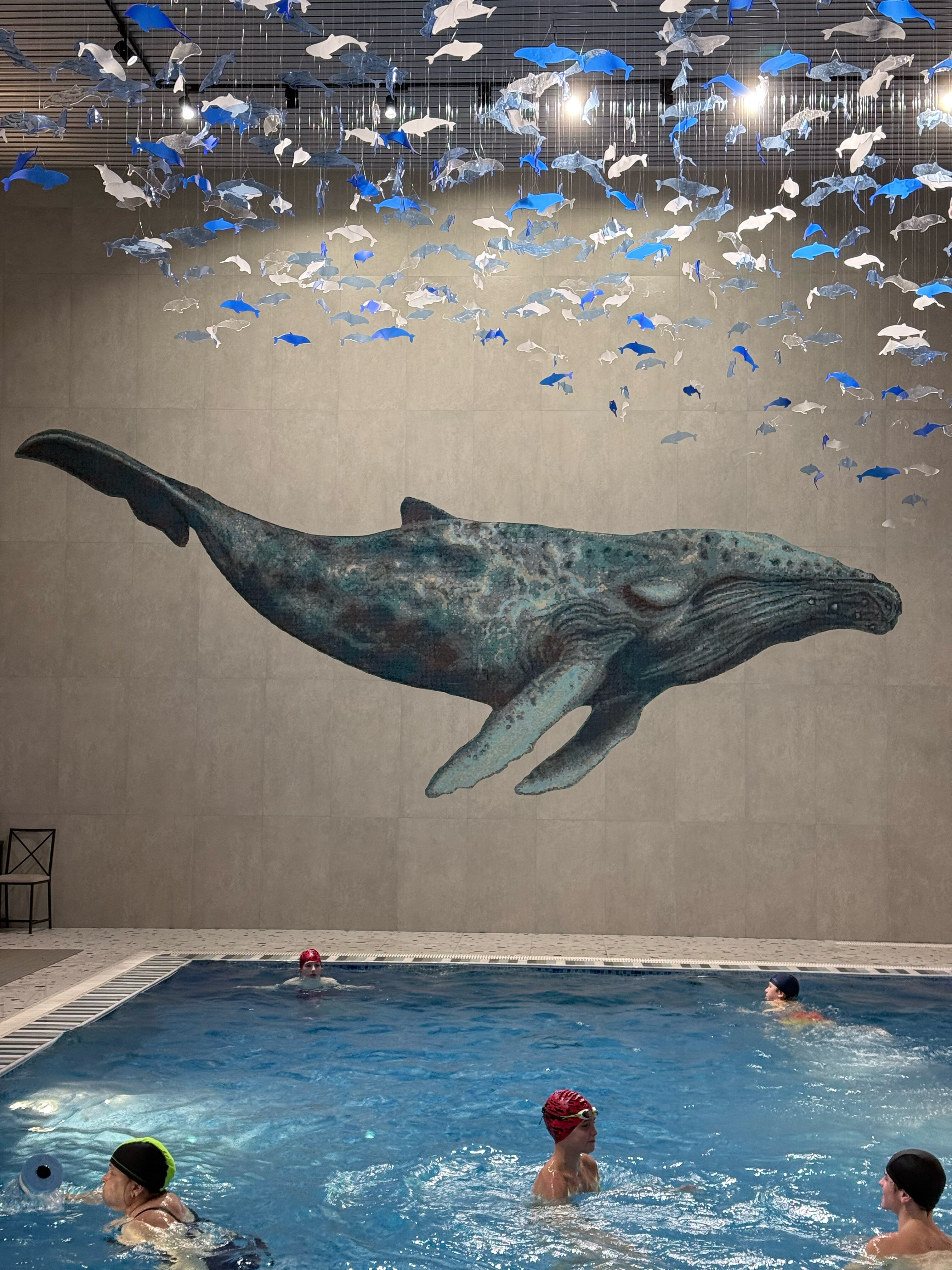 Фото Код здоровья