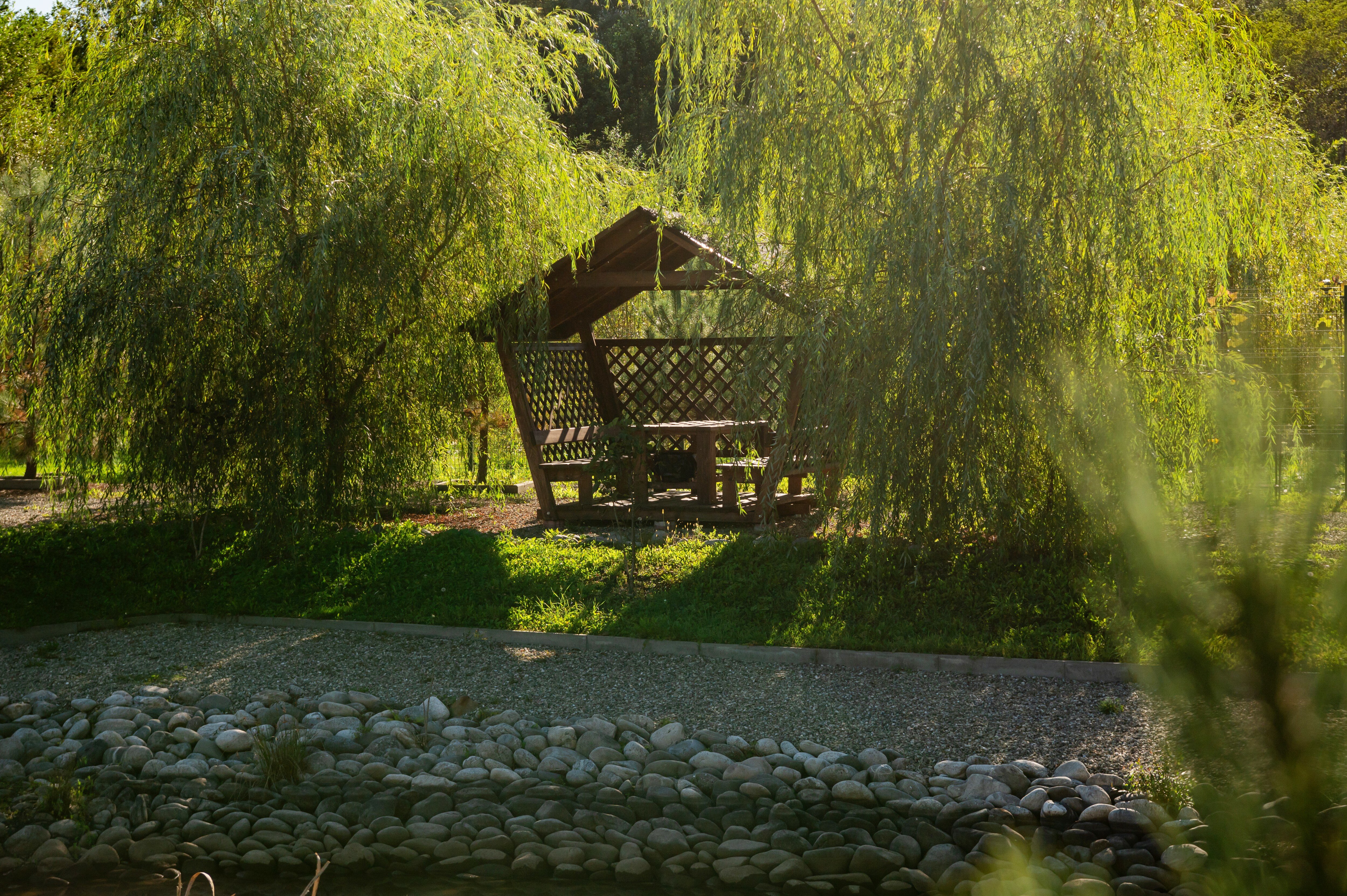 Фото Павлова поляна