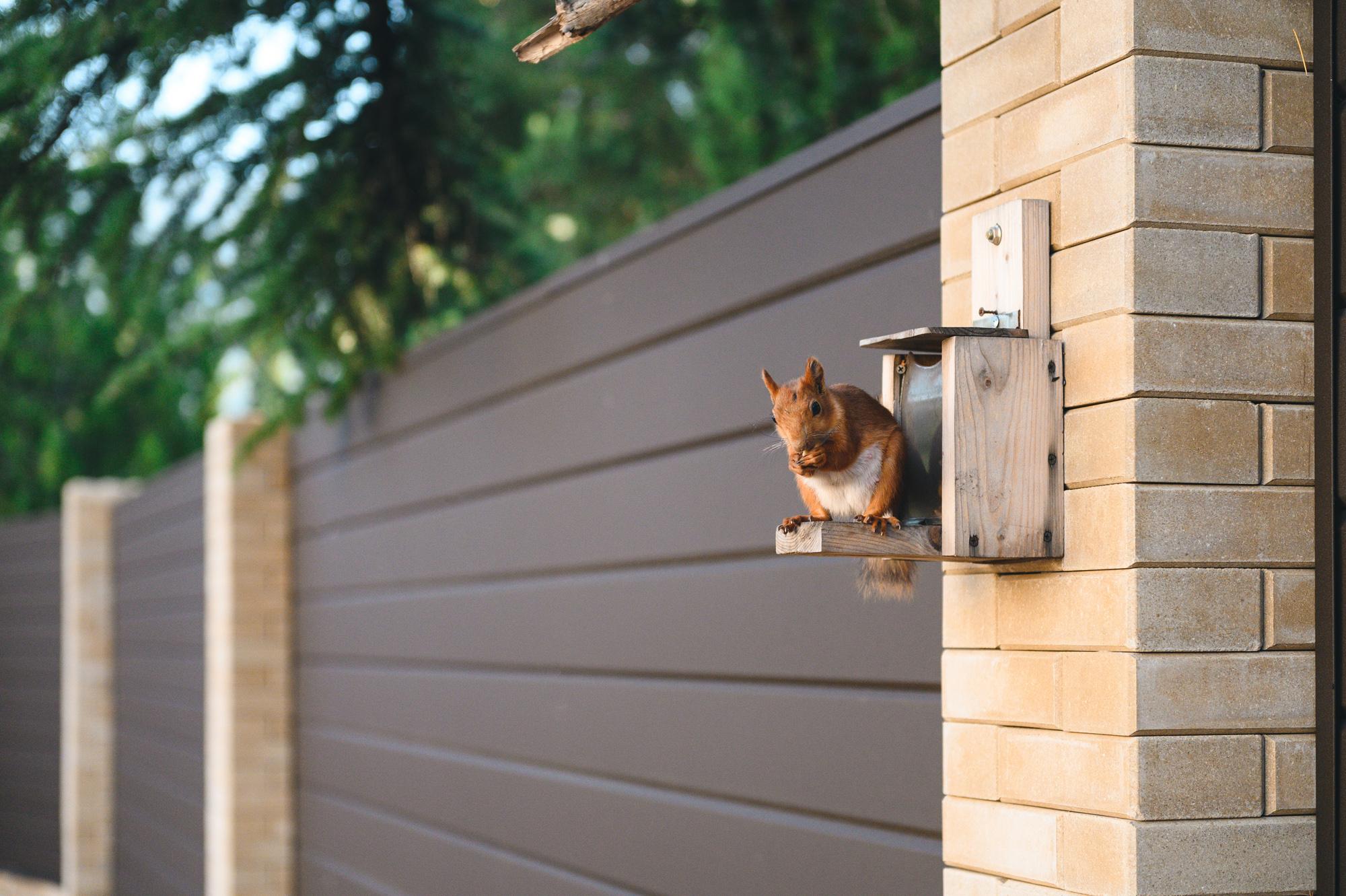 Фото Кристалл