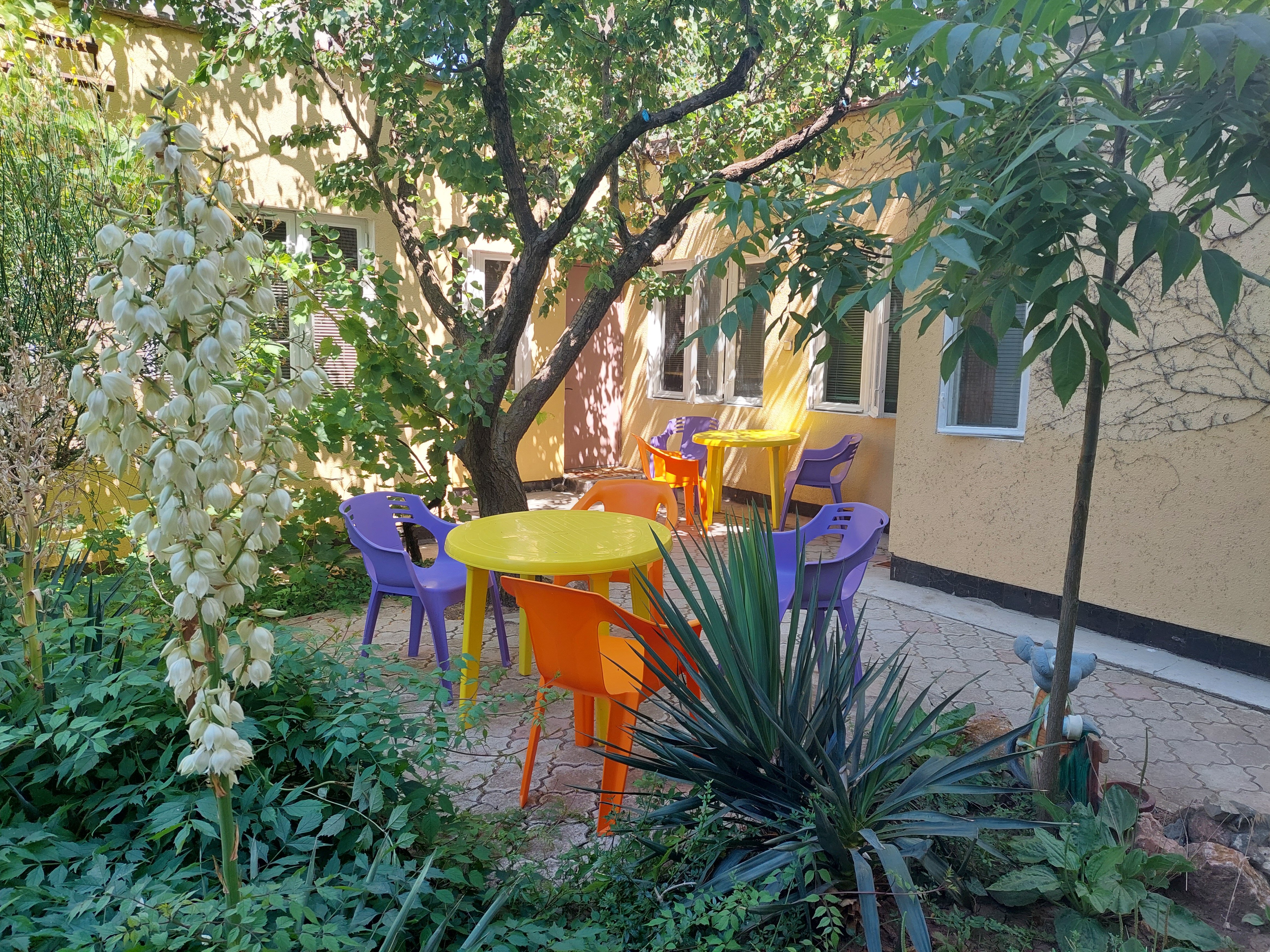 Фото Летний