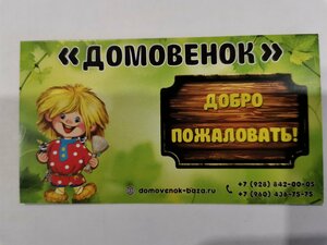 Домовенок