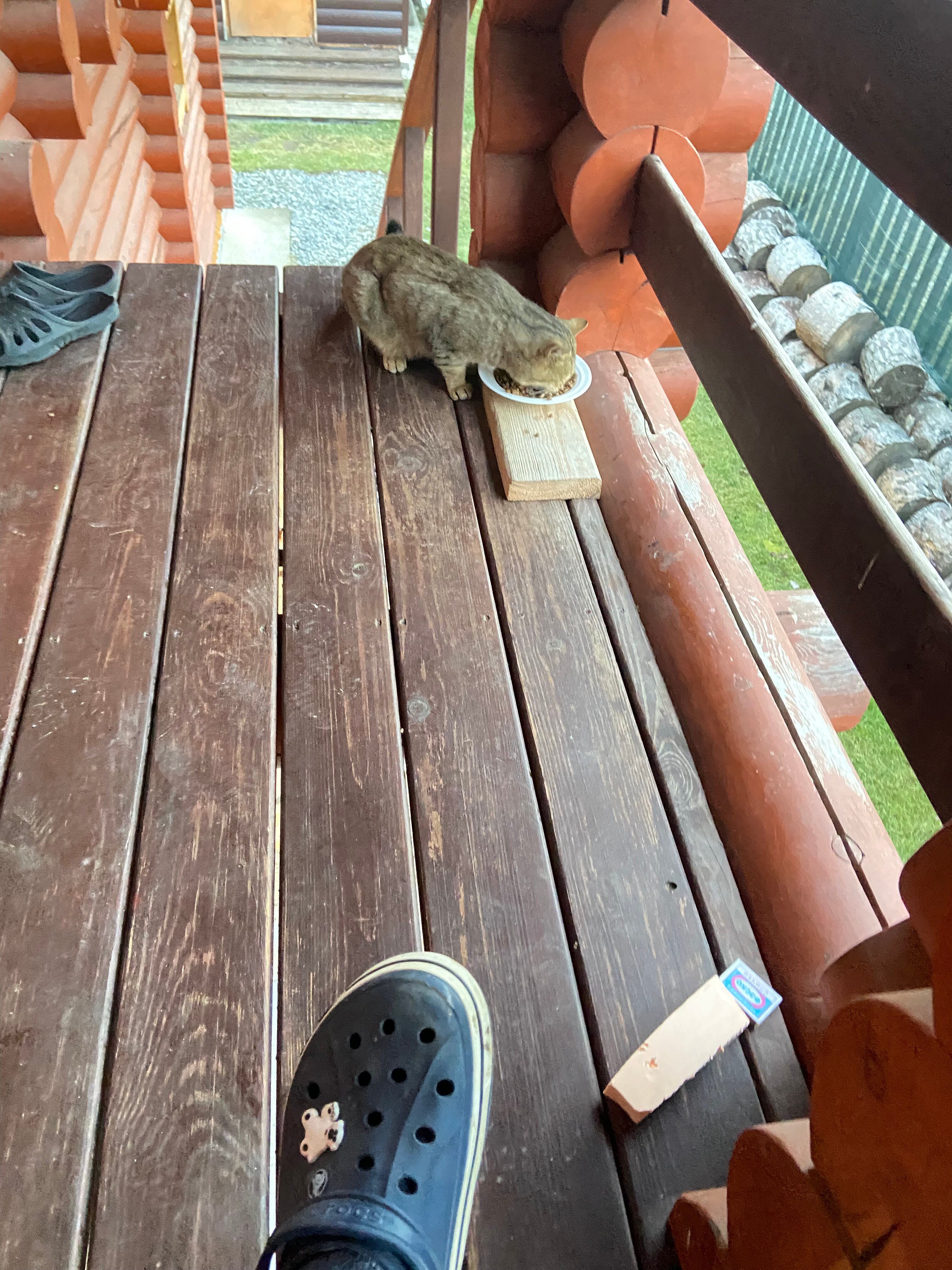 Фото Кедровый Двор