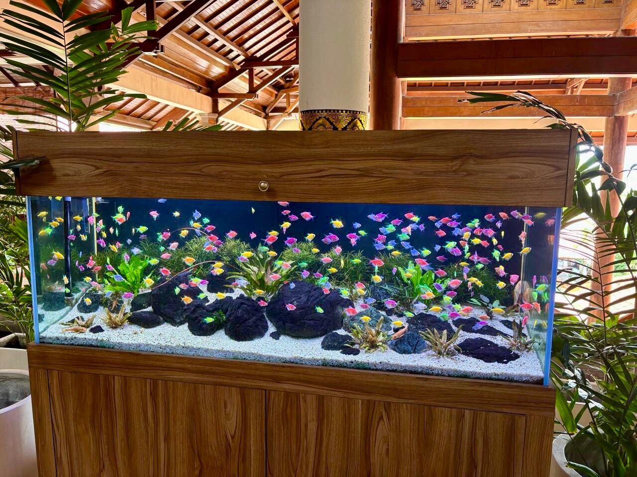 Фото Ayodya Resort Bali