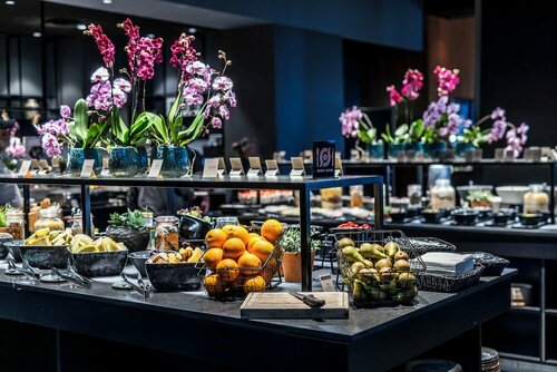 Внешний вид отеля Clarion Hotel Copenhagen Airport в Каструпе, фото 4