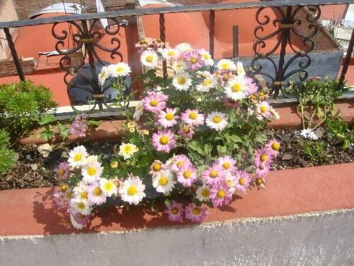 Гостиница Hotelito Casa Dionisio в Штате Гуанахуато