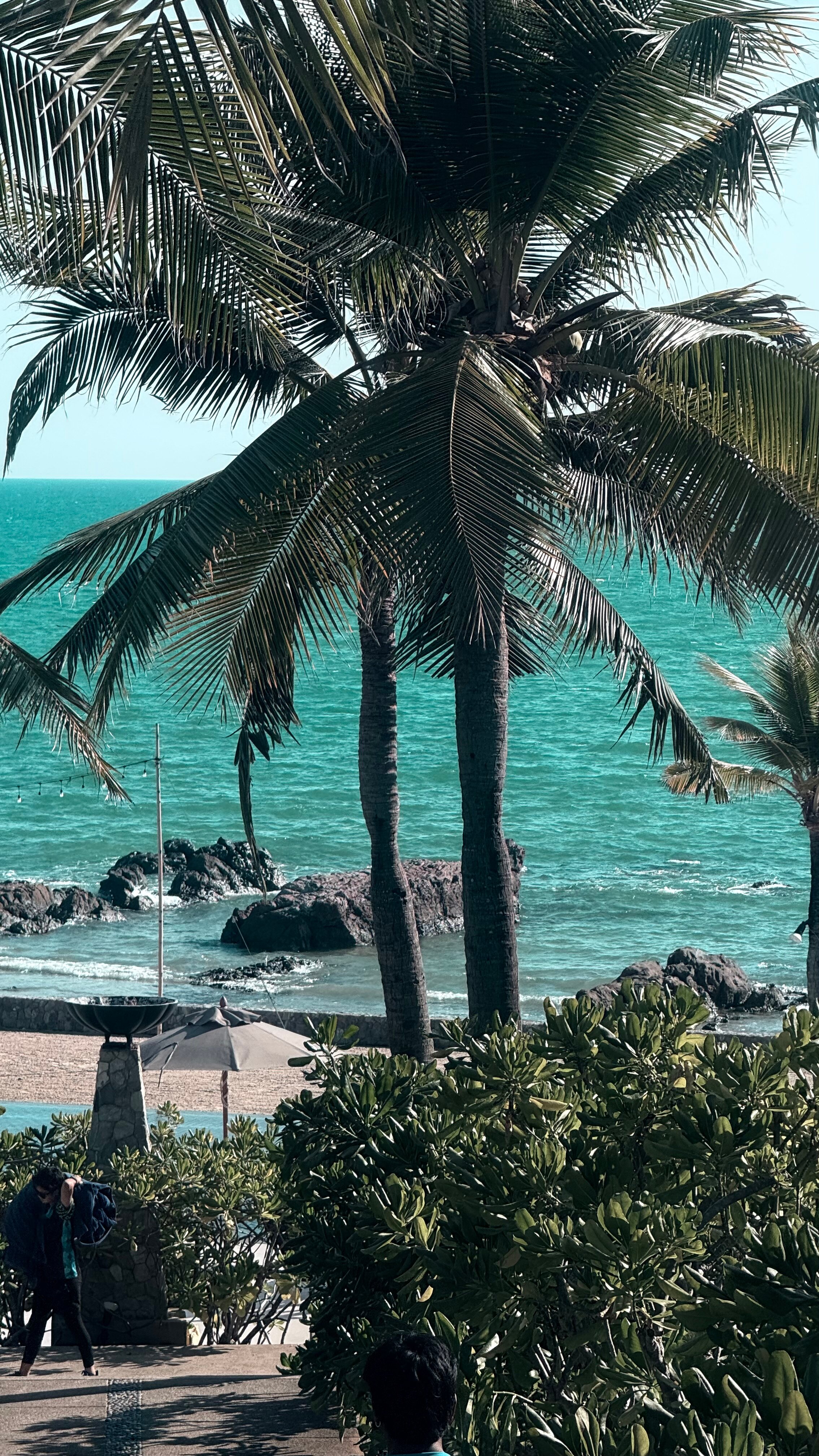 Фото Rayong Marriott Resort & SPA