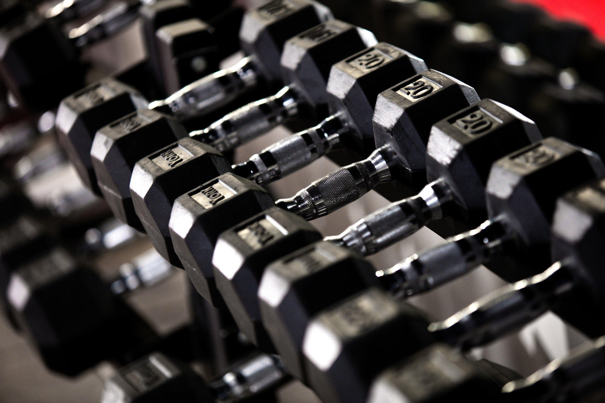 Фото Kimpton Hotel Palomar Philadelphia, an Ihg Hotel