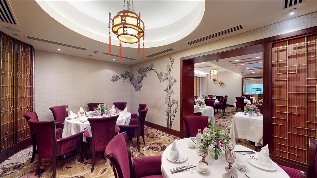 Фото Radisson Blu Hotel Nagpur