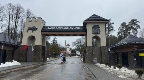 Дикий гусь