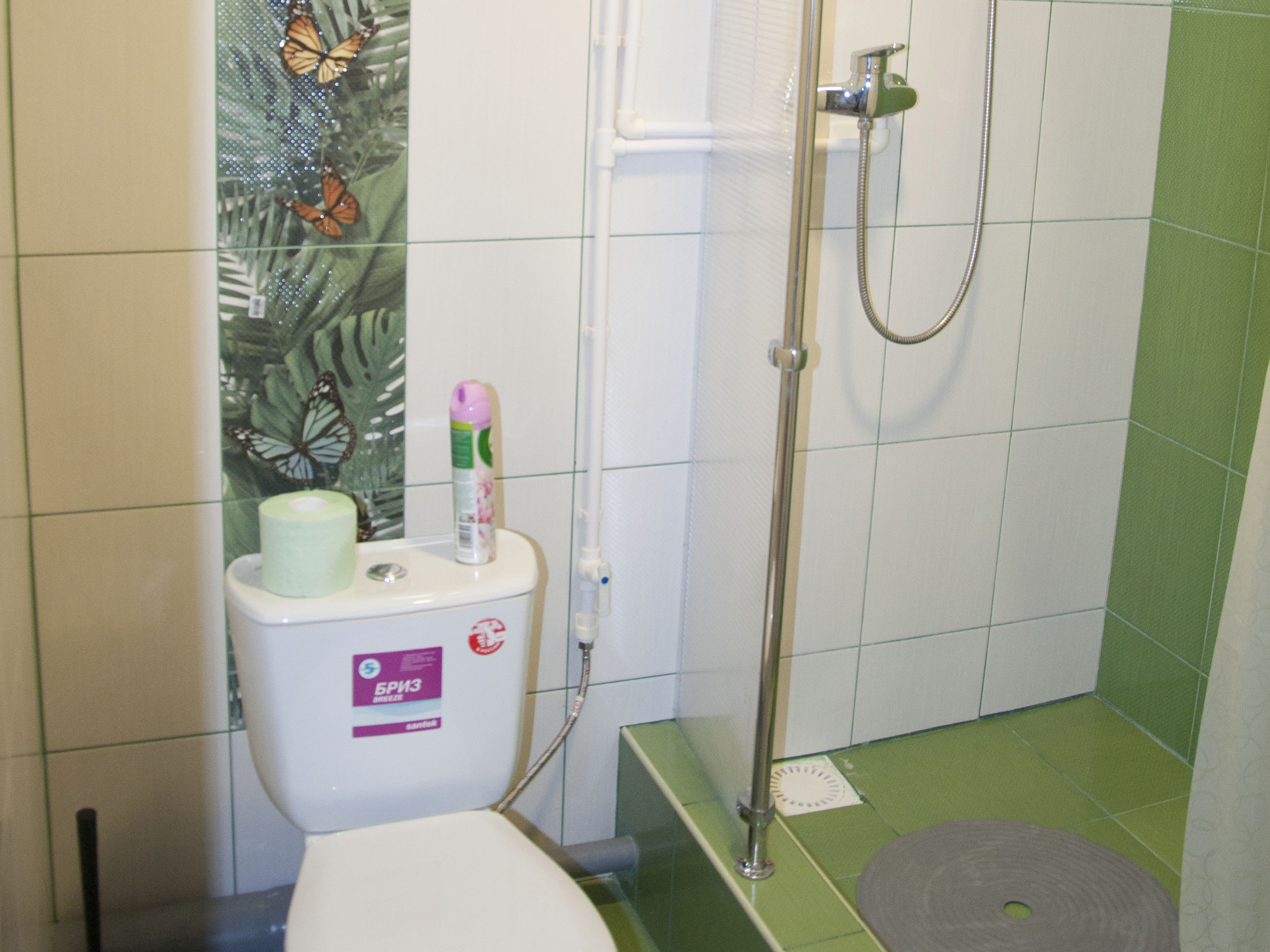 Фото Гостишка