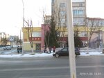 Tsentr Tekhnicheskogo Tvorchestva Detey i Molodezhi Mozyrsky GUO (ulitsa Nezhnova, 13), club para niños y adolescentes