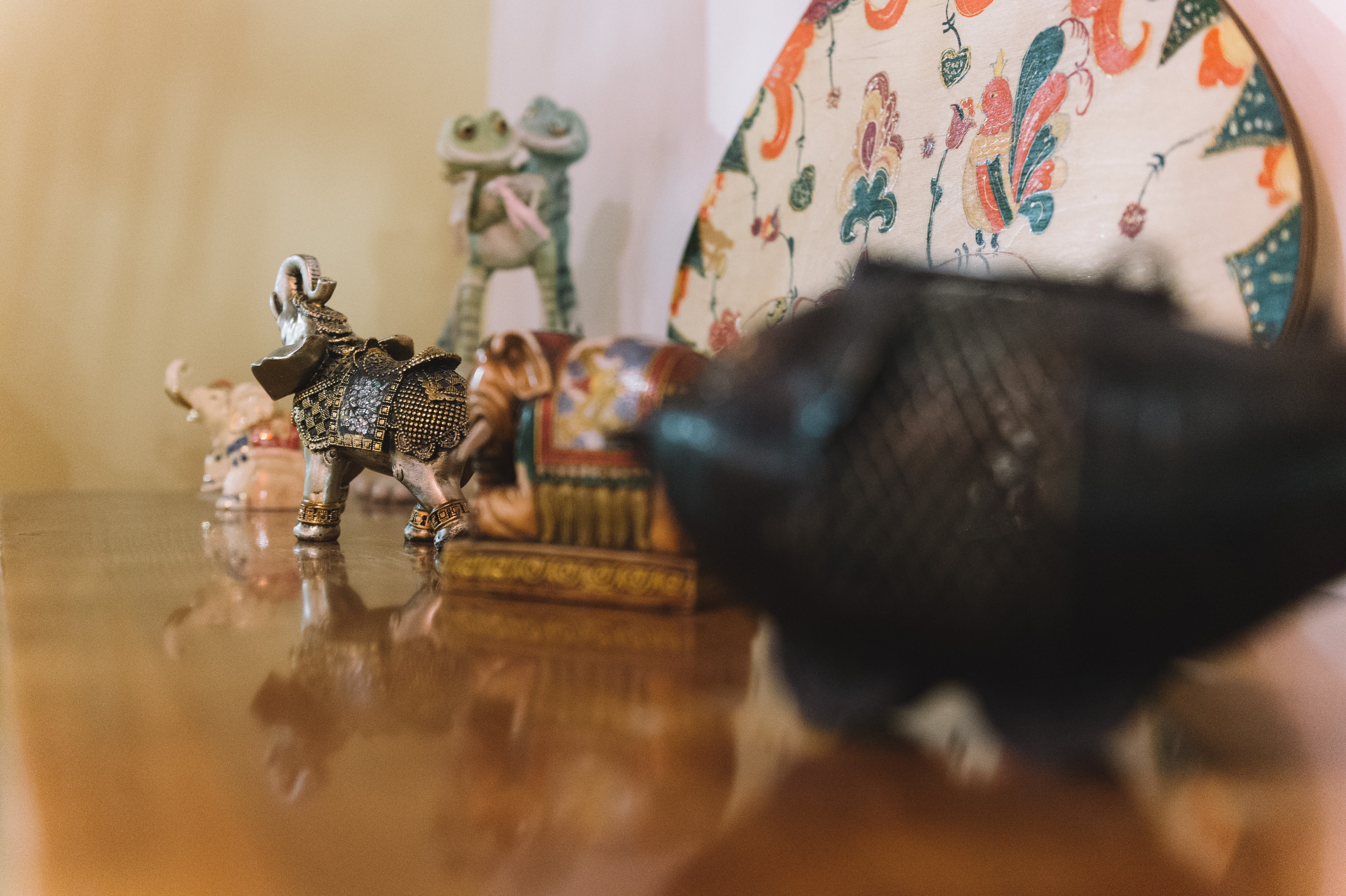 Фото Иван-чай