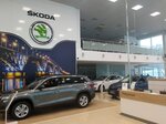 Фото 2 Skoda Элвис