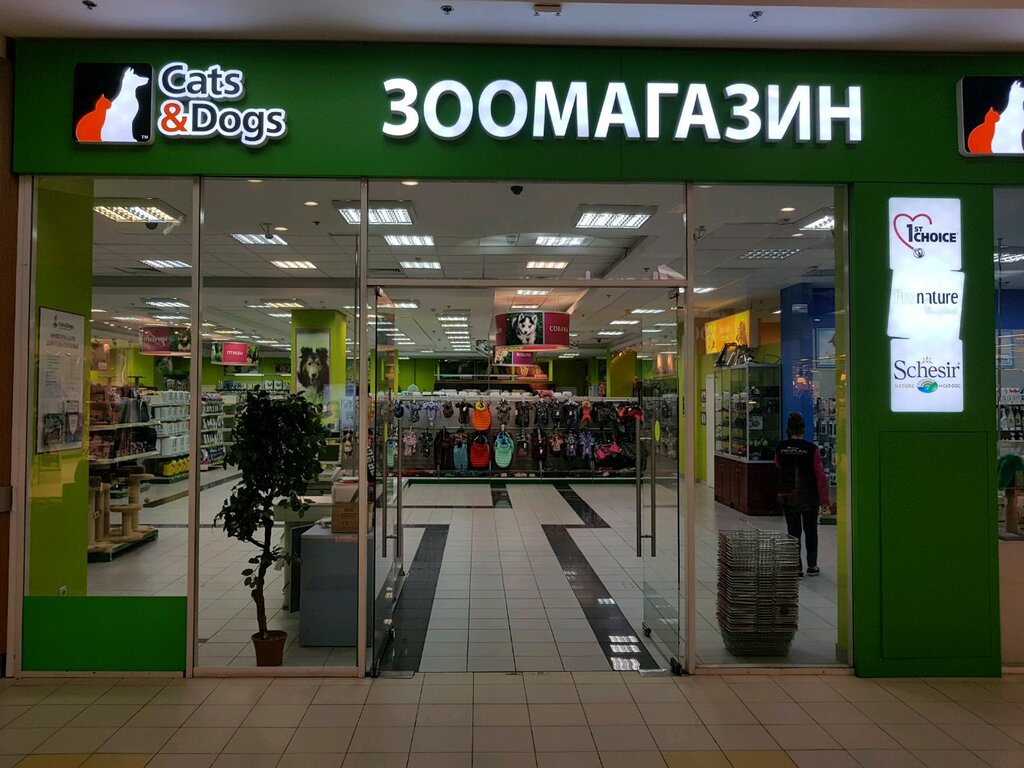 Кэтс Энд Догс Интернет Магазин