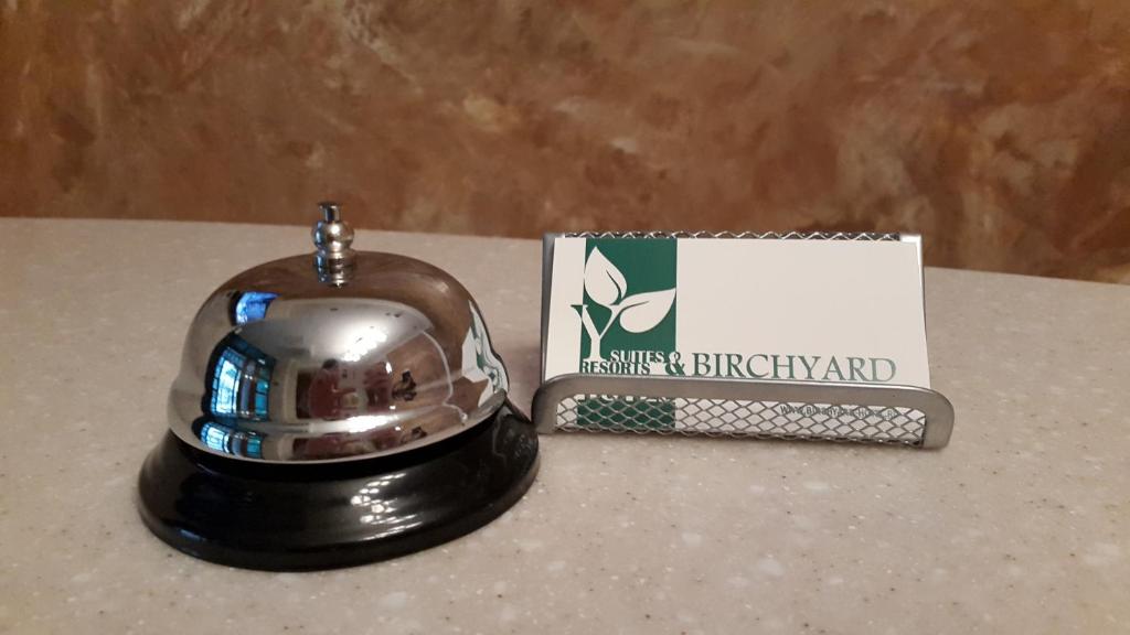 Фото Березовый двор