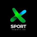 X-Sport (Chernorechenskaya Street, 21), sports equipment
