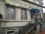 Гастроном 36 (Daniyalova Steet, 36), grocery