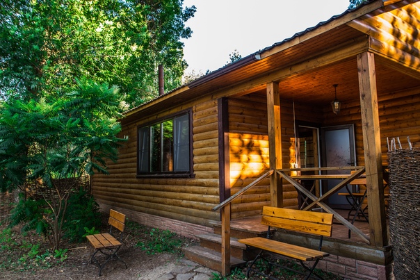 Фото Лесная