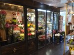 Versal (Radishcheva Street, 64), flower shop