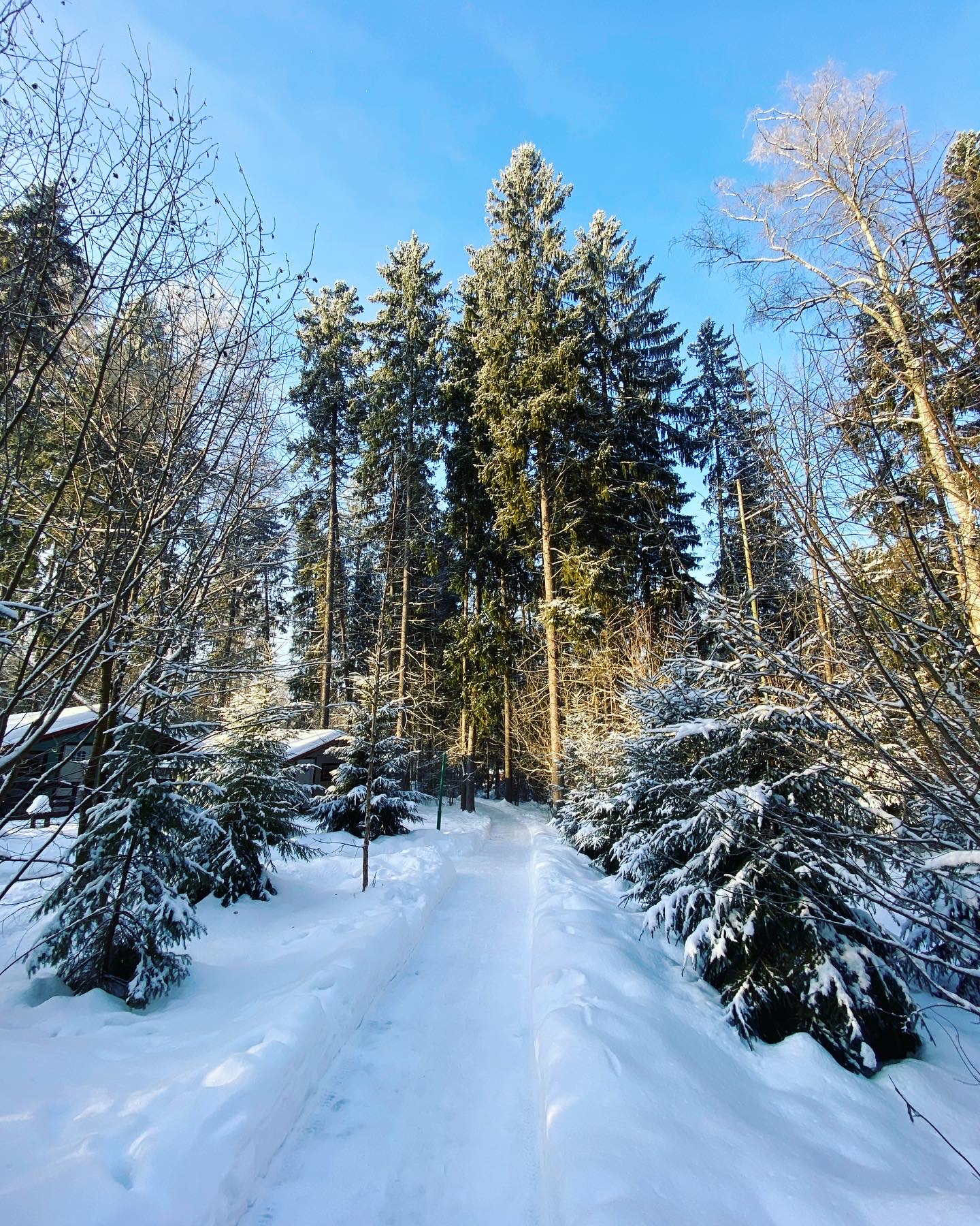 Фото Солонцово