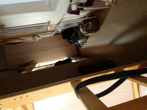 Әдемі әйелдер трусикасы және әдемі сексуалды әйелдер