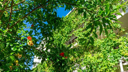 Гостиница Анастасия в Геленджике