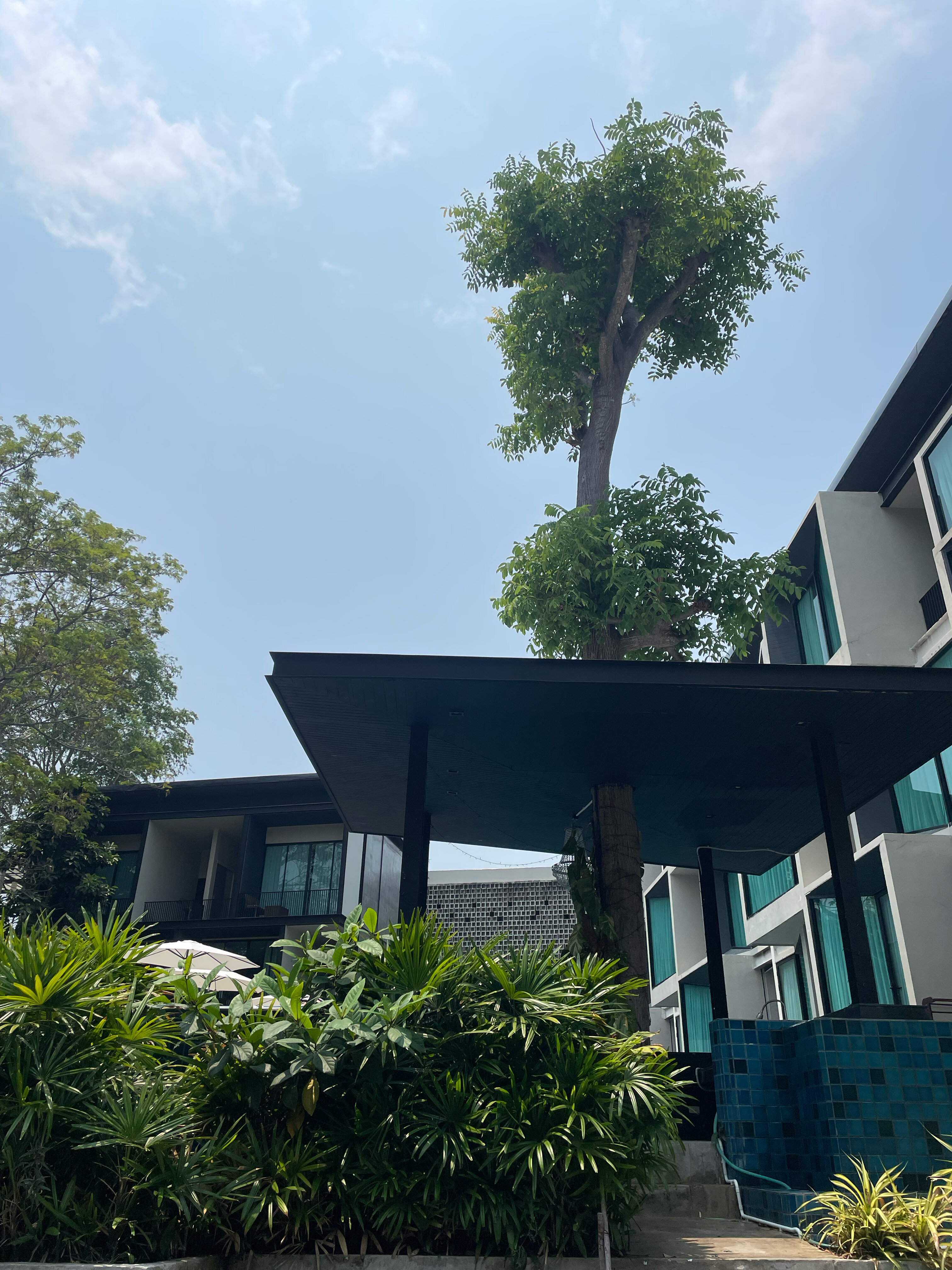 Фото 237883581648