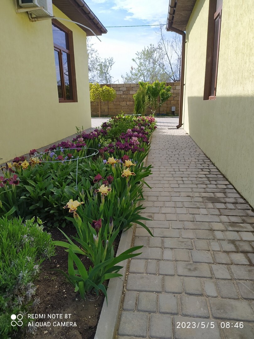 Фото Домики у Михалыча