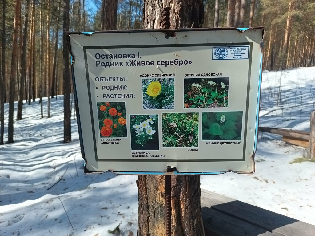 Spring, stream Родник Живое серебро, Irkutsk Oblast, photo